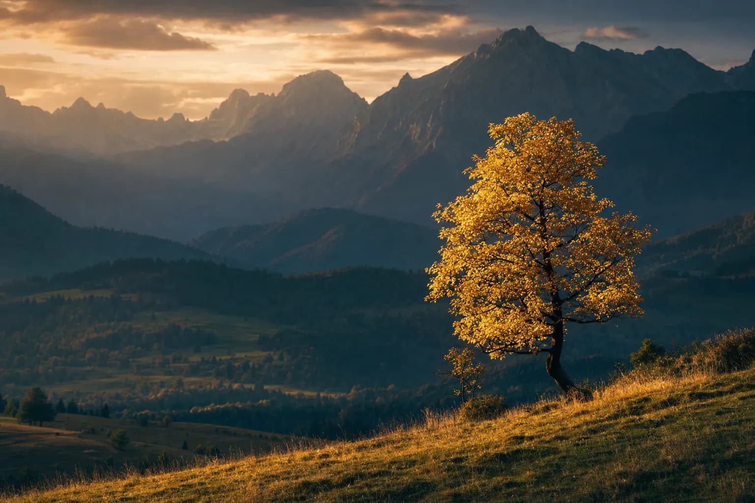 AI-generated image of a single golden autumn tree catching warm sunset light as the brightest element in the frame, with misty mountain ridges receding behind it through progressively darker, cooler tones.